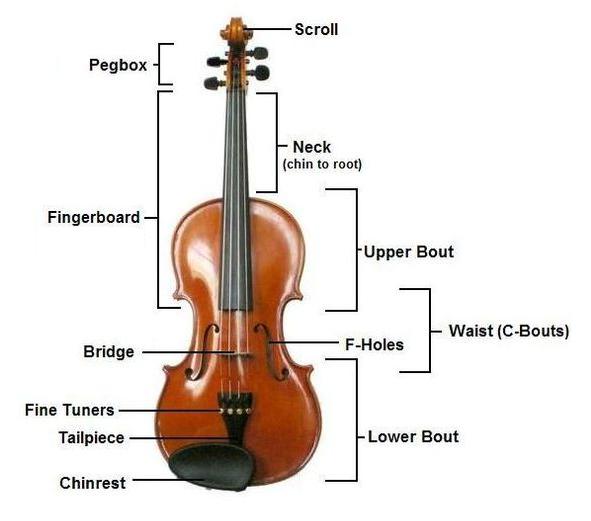 cấu tạo đàn violon