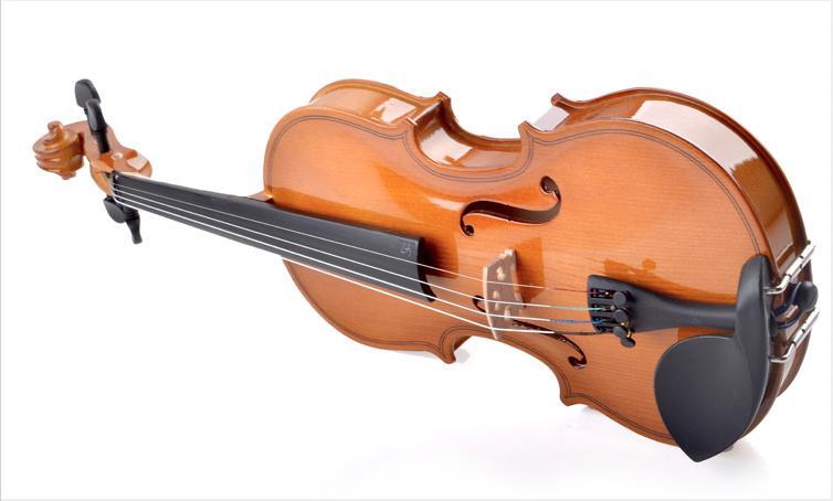đàn violin cao cấp