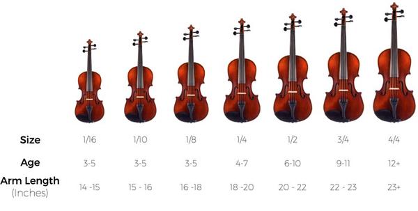 đàn violin được phân theo kích thước